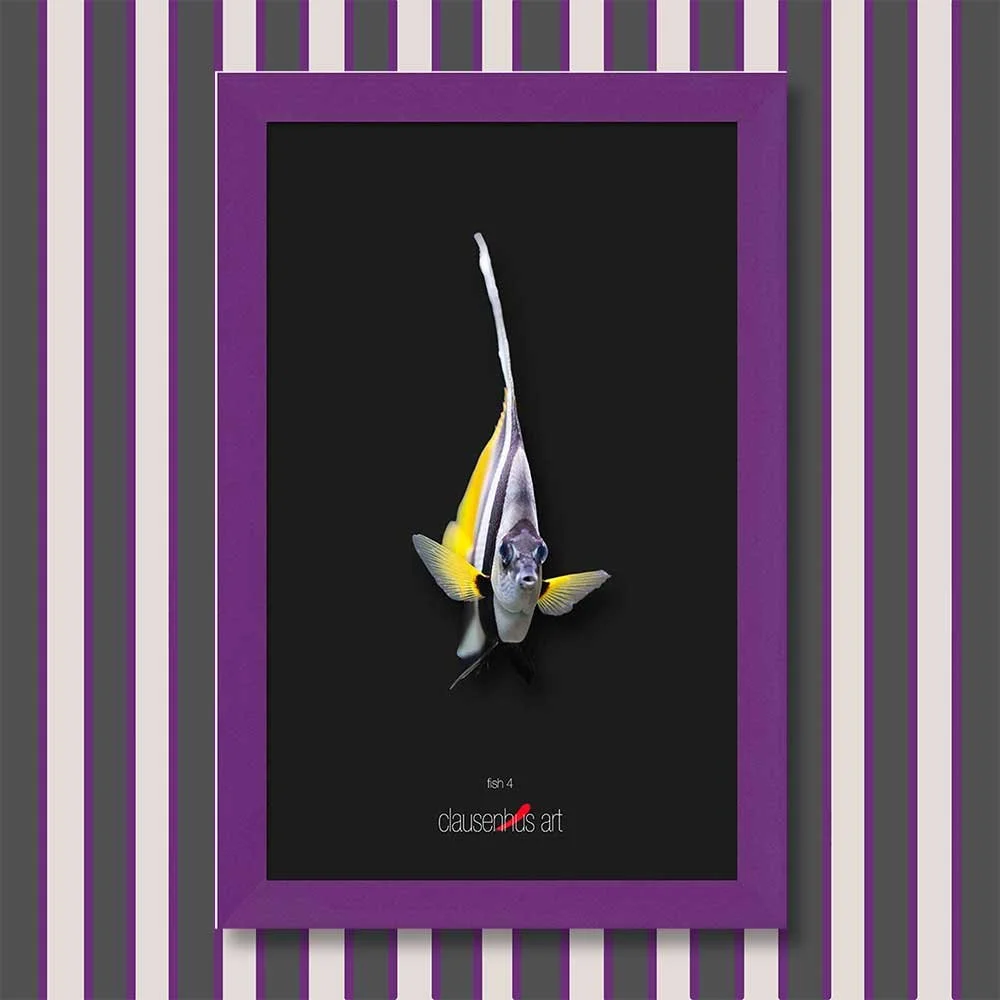 fish-4-copy.jpg