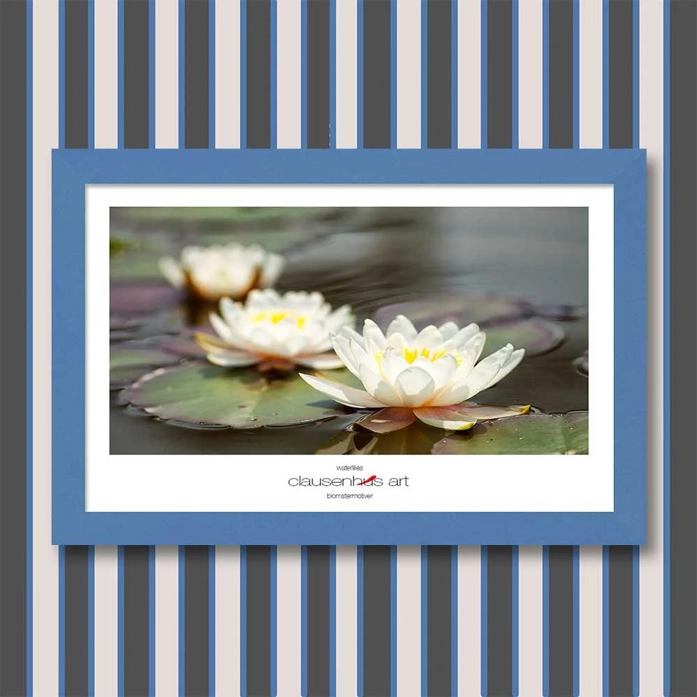 waterlilies-copy.jpg