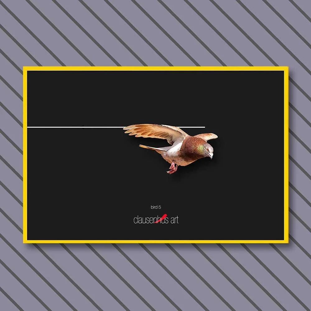 bird-5-copy.jpg