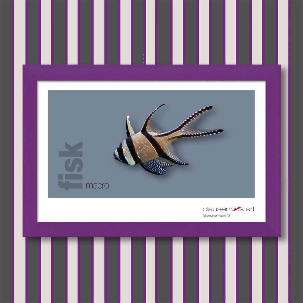 fiskemotiv-13-copy.jpg
