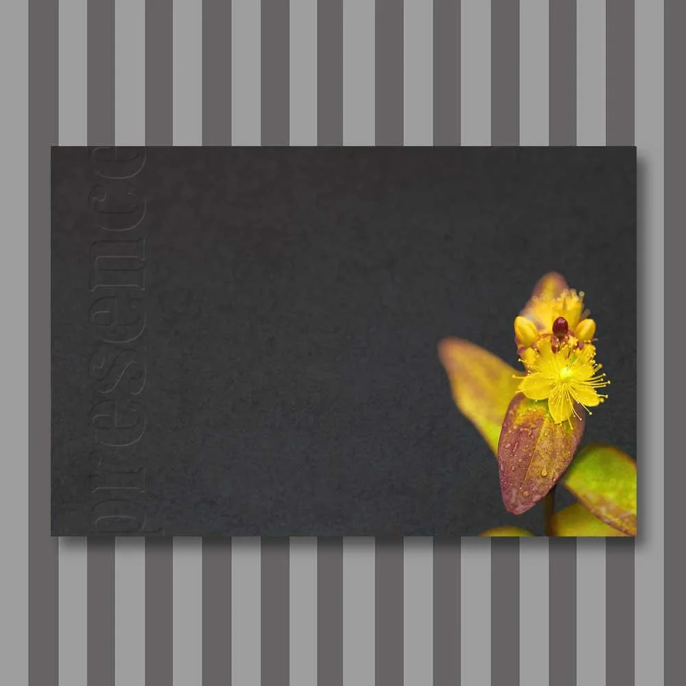 presence-06.jpg