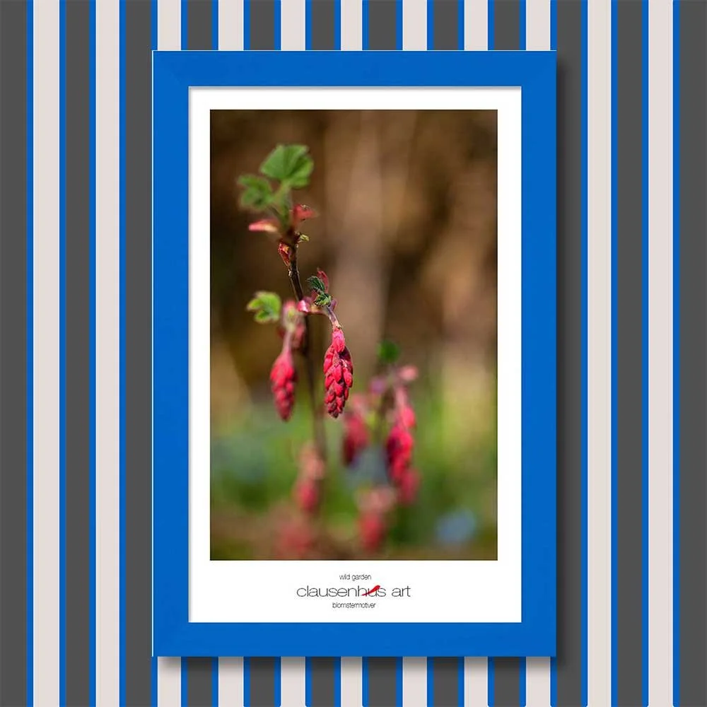 wild-garden-copy.jpg