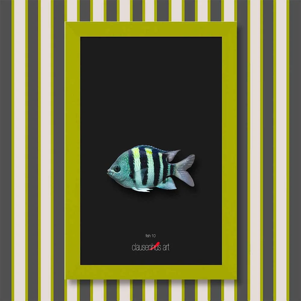 fish-10-copy.jpg