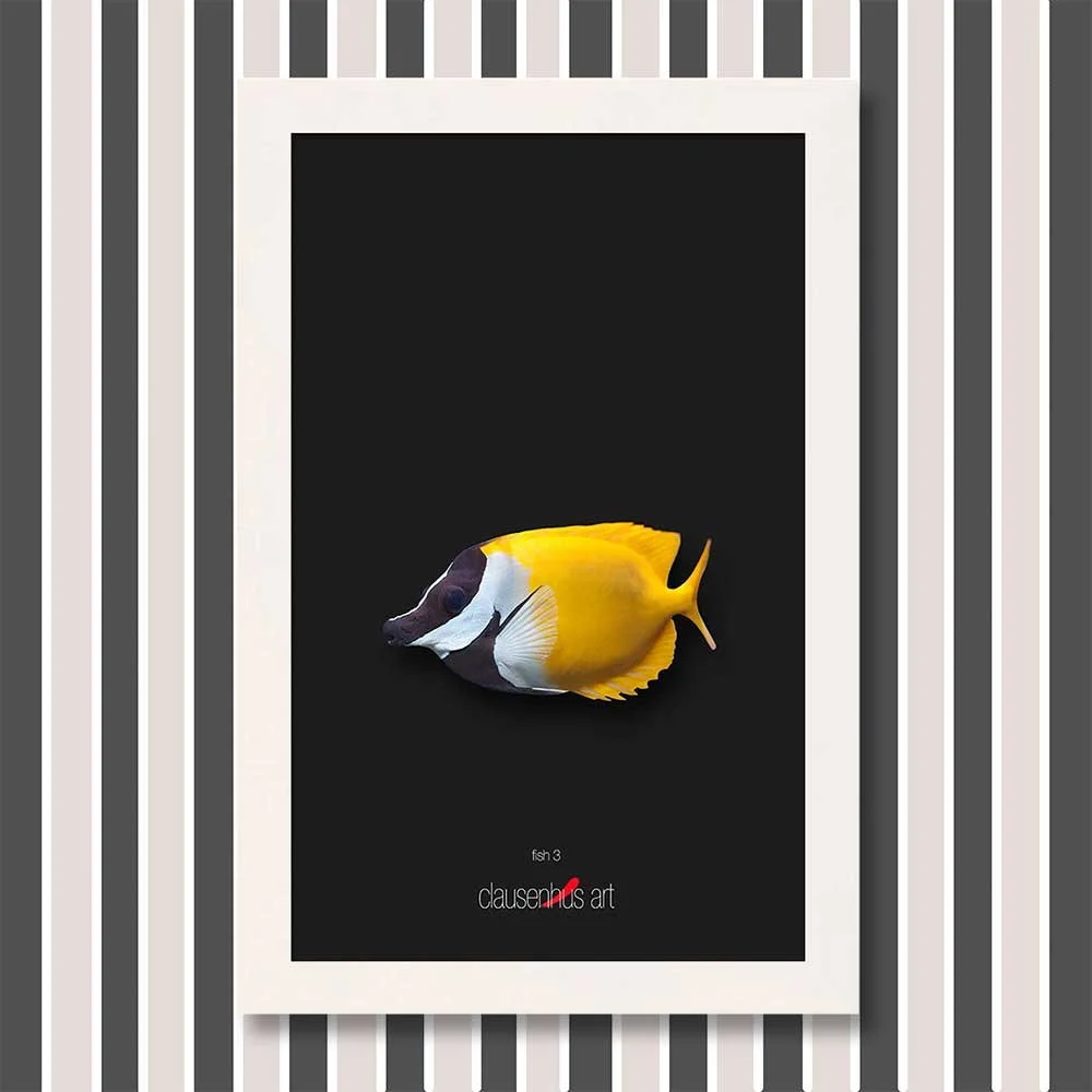fish-3-copy.jpg