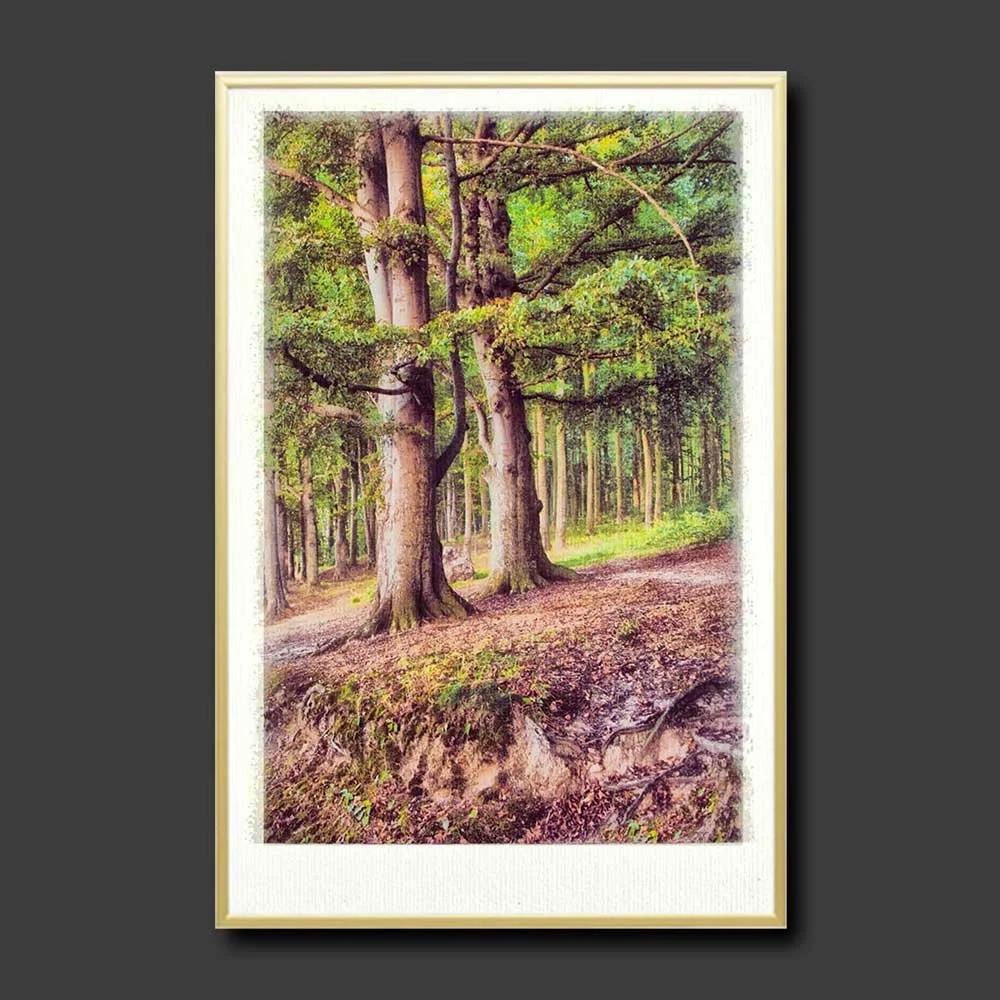 Under-the-trees-copy.jpg
