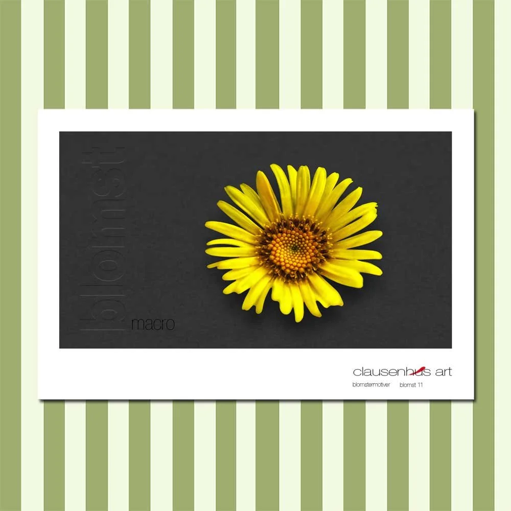 blomst-11.jpg