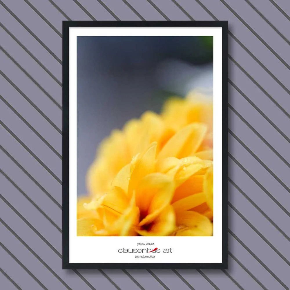yellow-waves.jpg