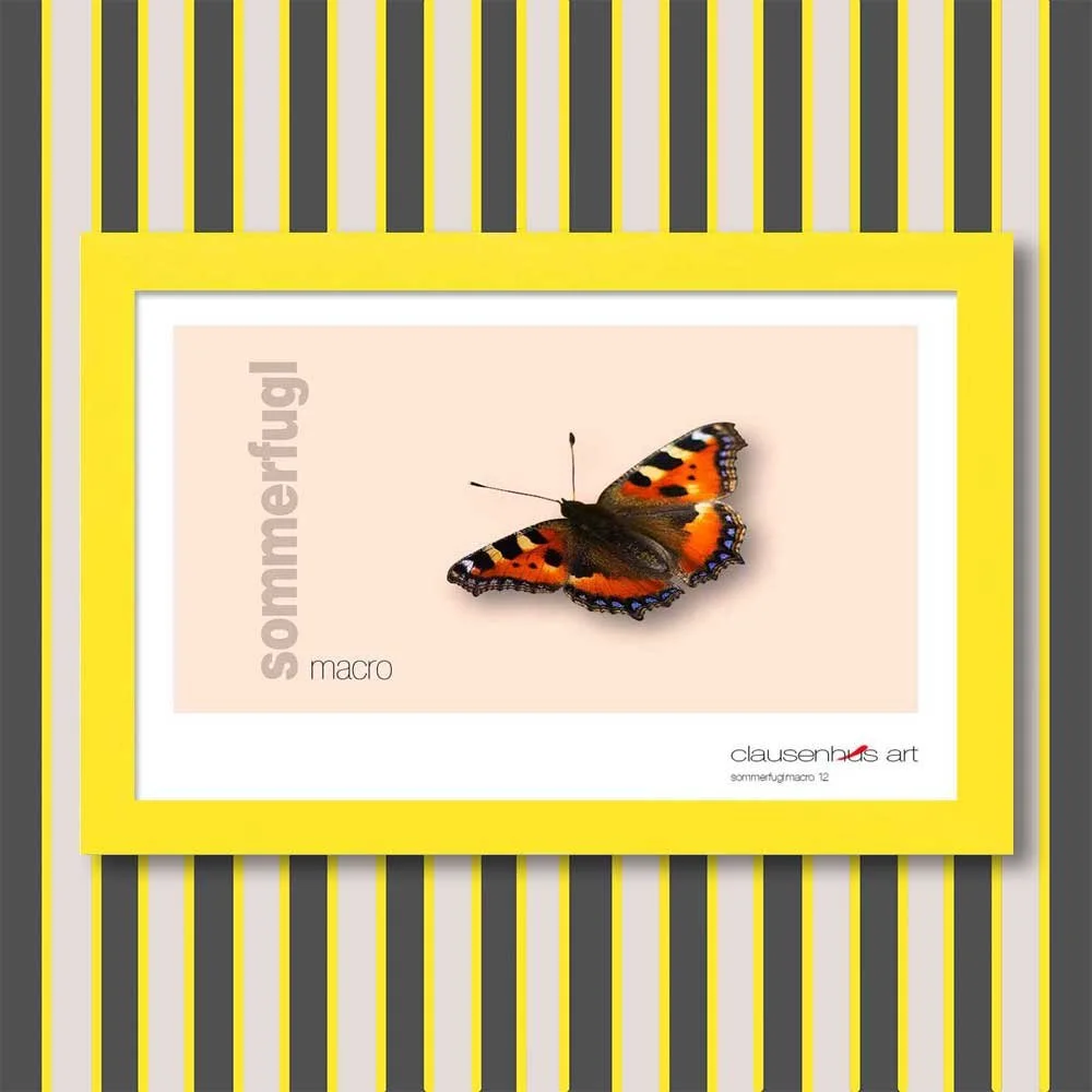 sommerfugl-12.jpg