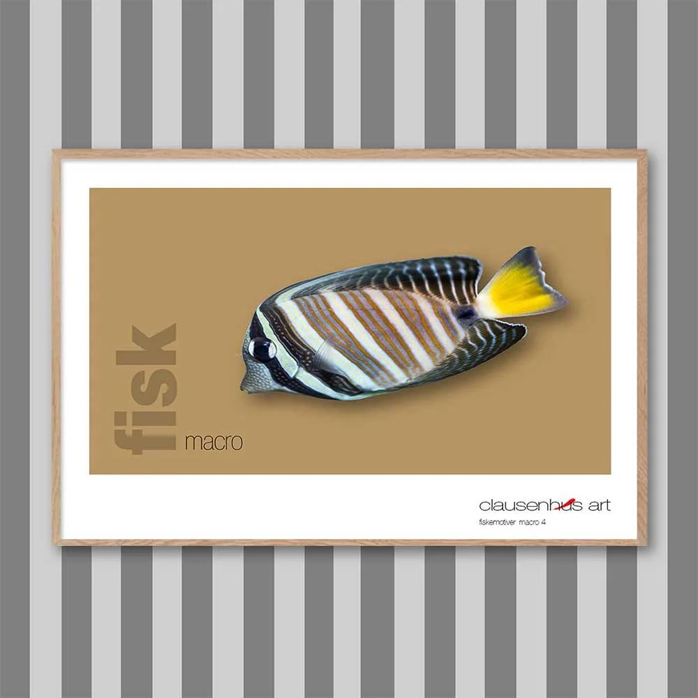 fiskemotiv-4-copy.jpg
