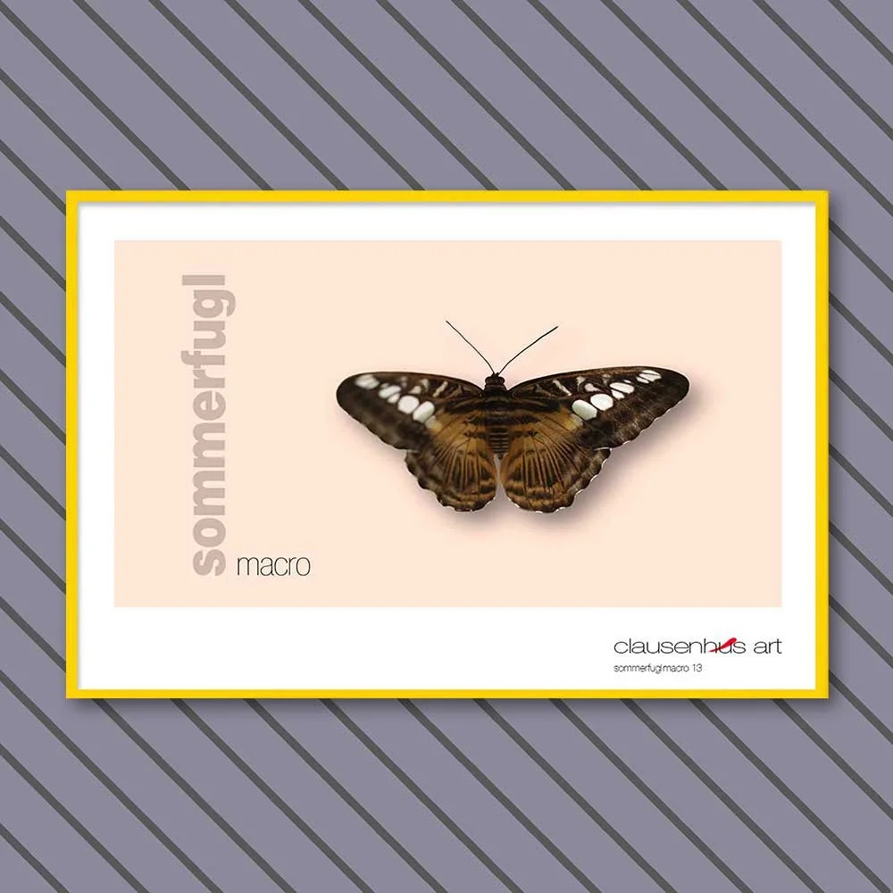 sommerfugl-13-copy.jpg