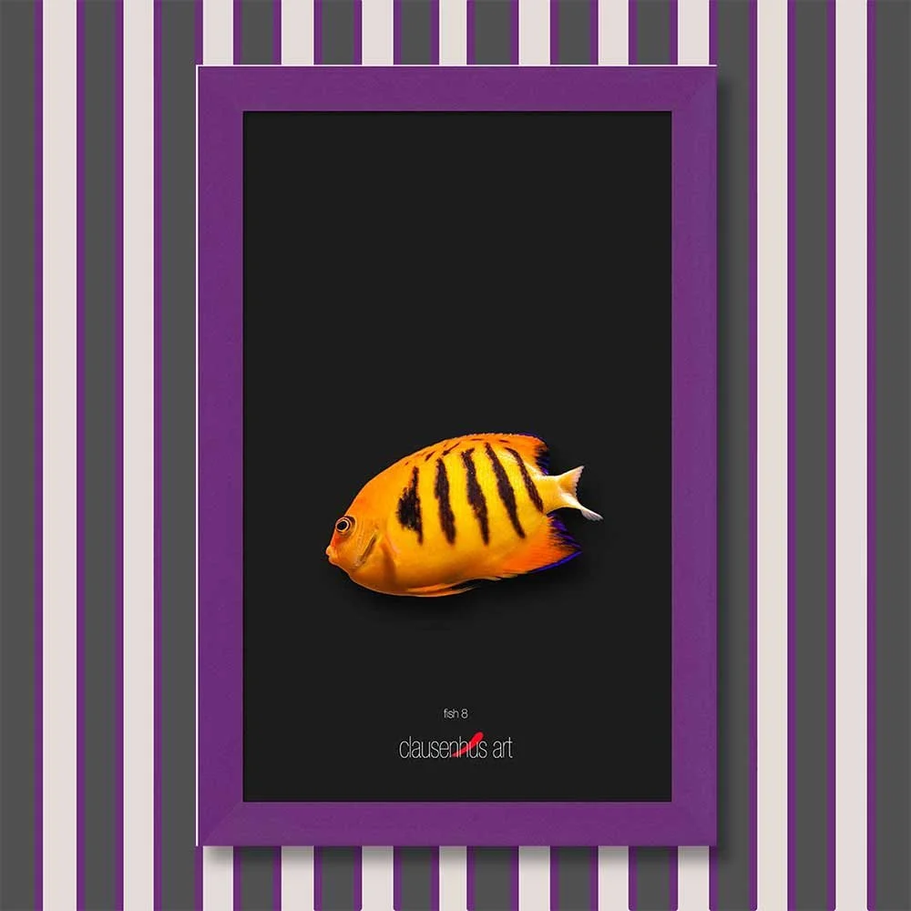 fish-8-copy.jpg