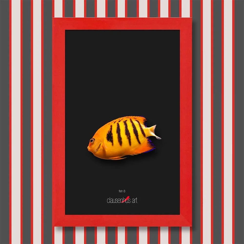 fish-8-copy.jpg