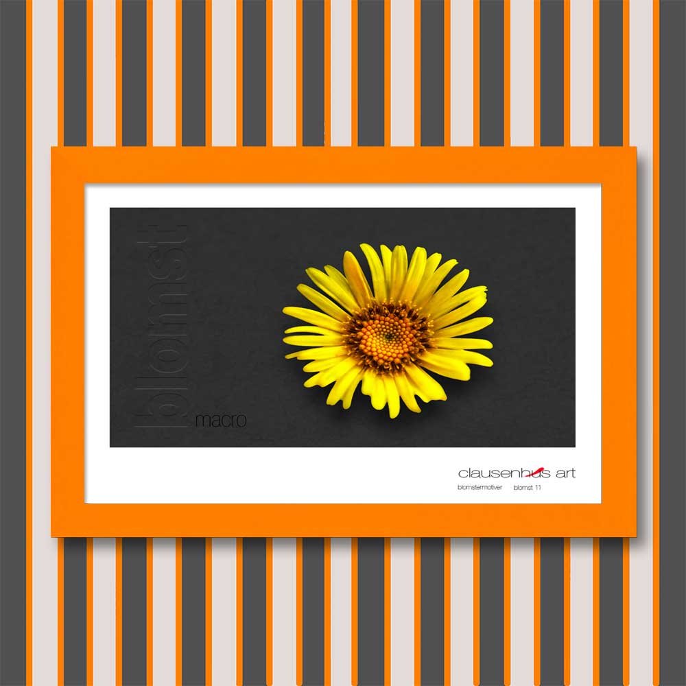 blomst-11.jpg