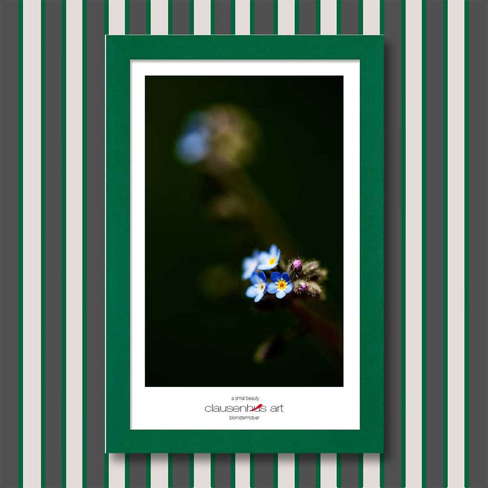 a-small-beauty-copy.jpg
