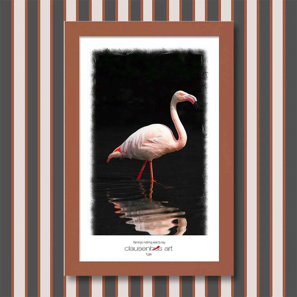 flamingo-nothing-else-to-say.jpg