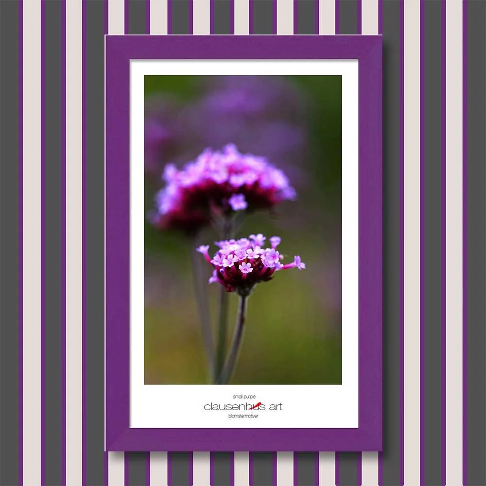 small-purple-copy.jpg