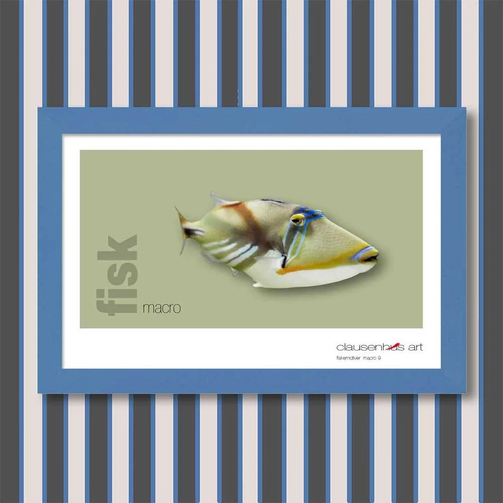 fiskemotiv-9-copy.jpg