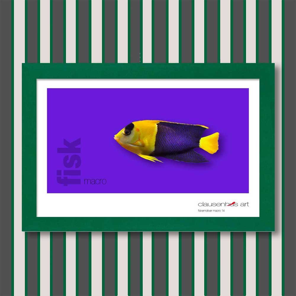 fiskemotiv-14.jpg