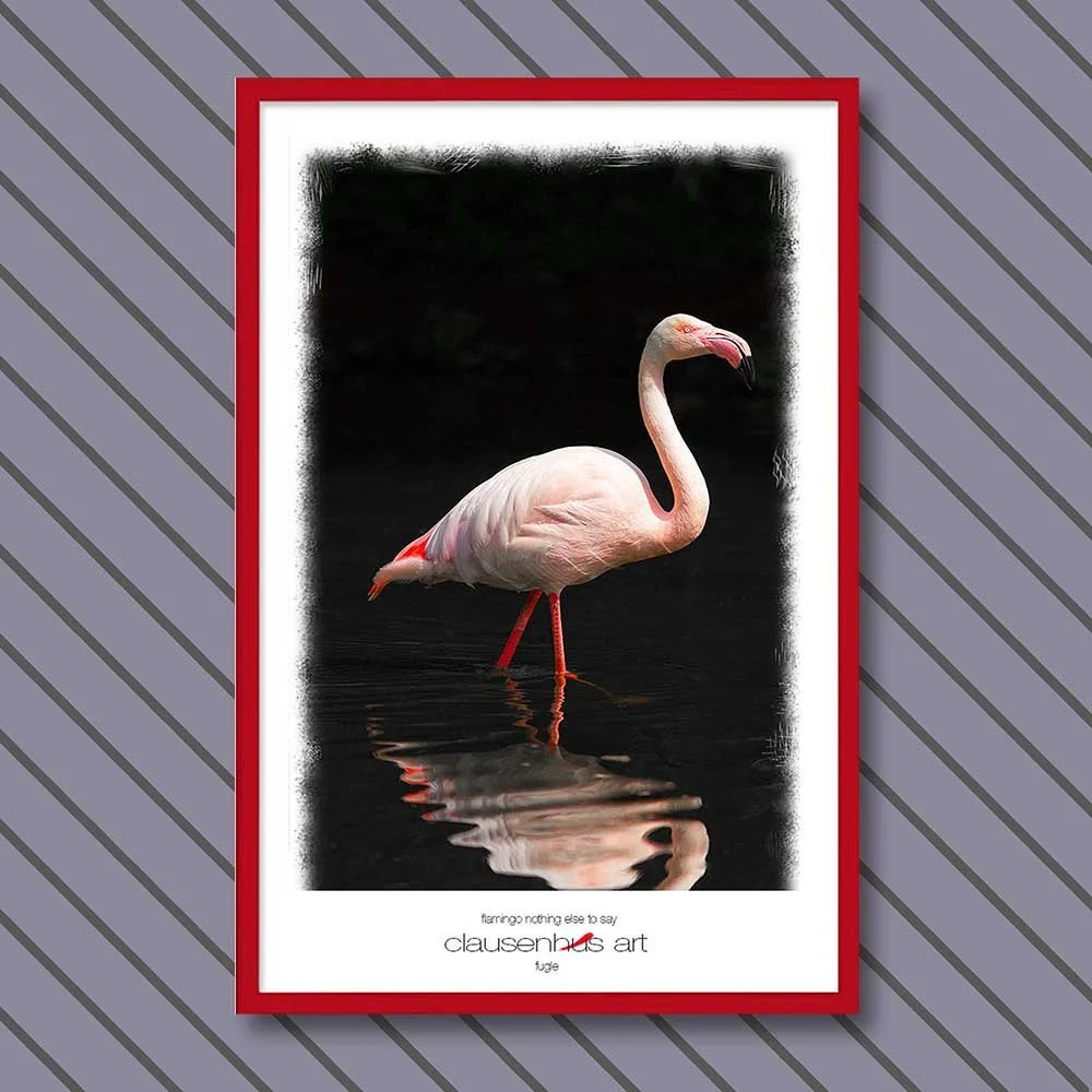flamingo-nothing-else-to-say.jpg