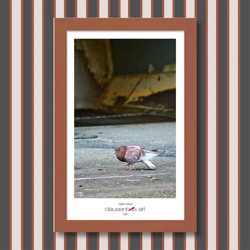pigeon-dance-copy.jpg
