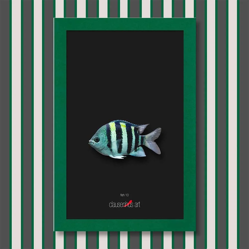 fish-10-copy.jpg