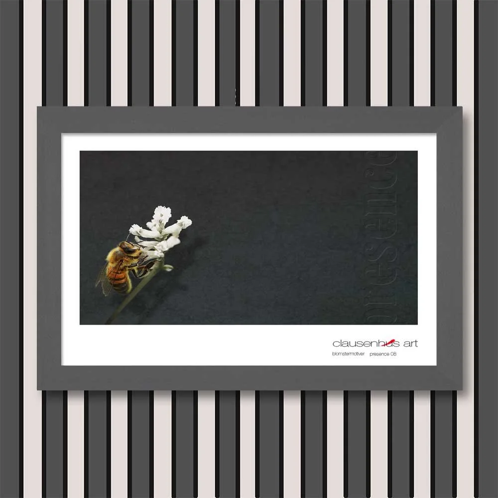 presence-08.jpg