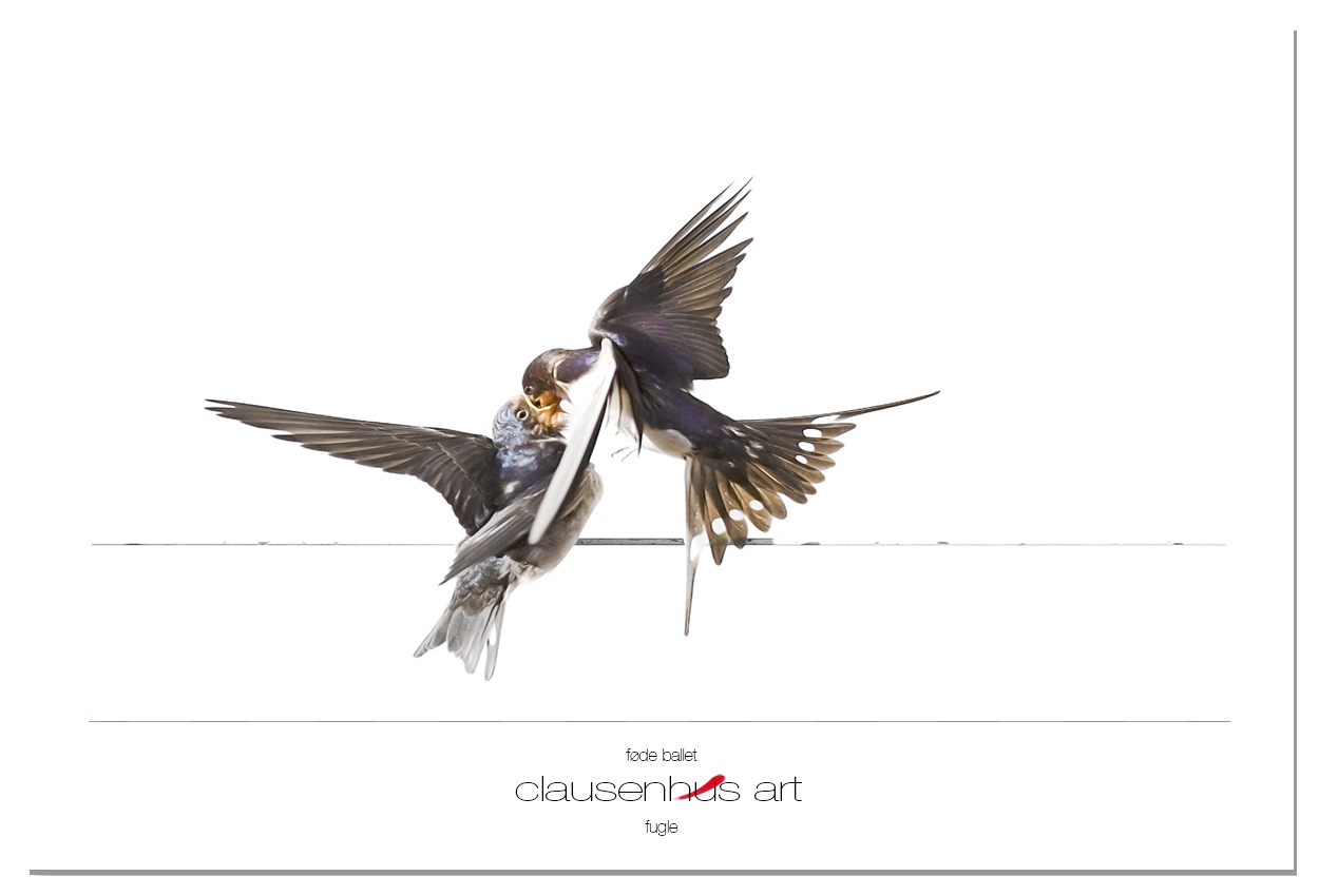 føde ballet.png