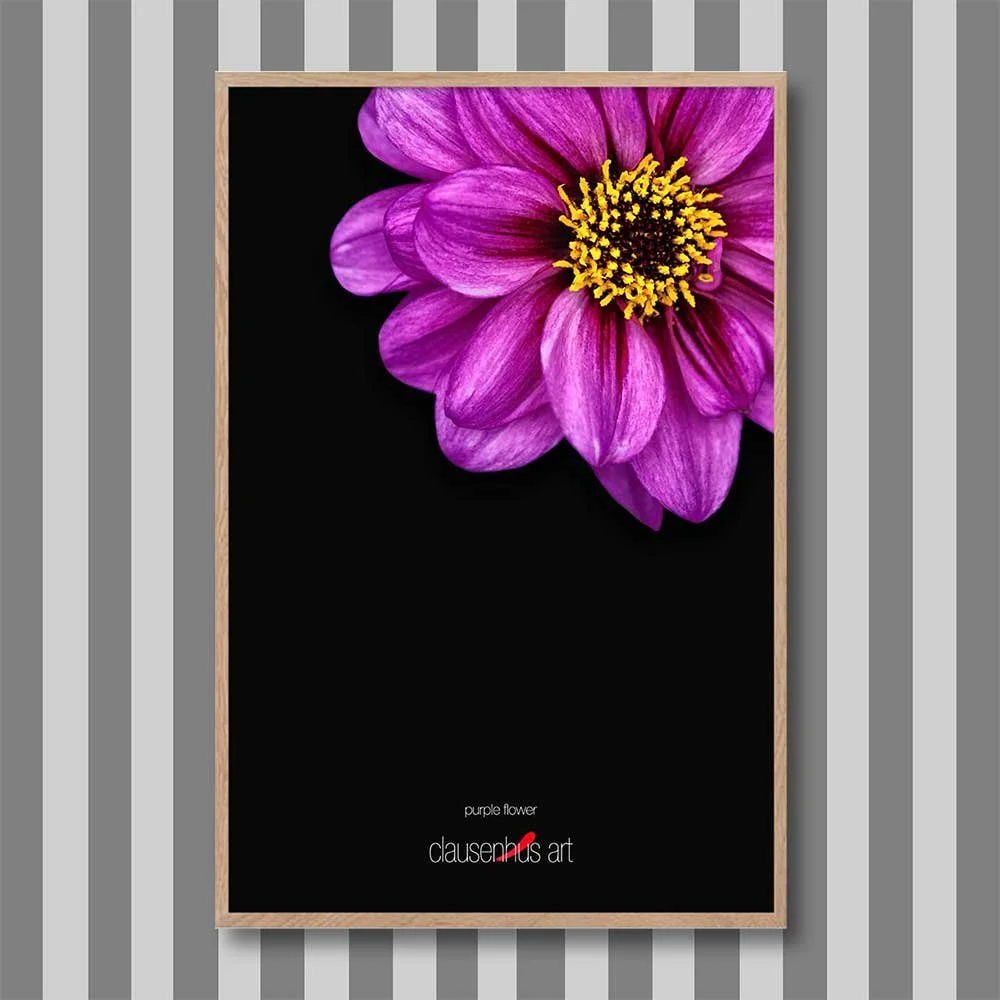 purple-flower.jpg