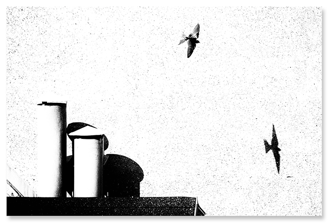 roof-shadows.png