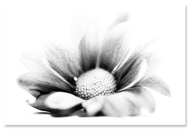 unfold.png