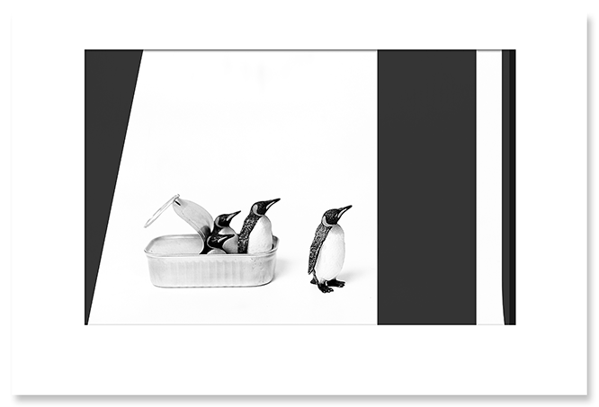 evolution.png