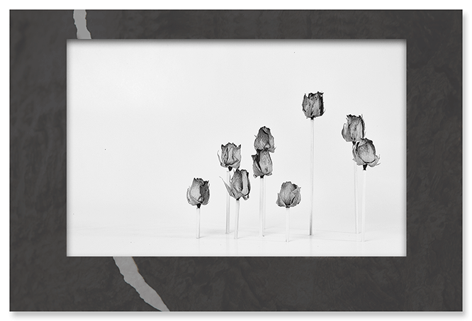 rose-garden.png