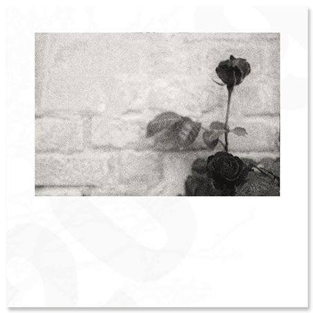against-the-wall.png