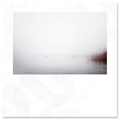 morning-fog.png