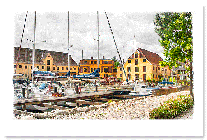 summer-harbor.png