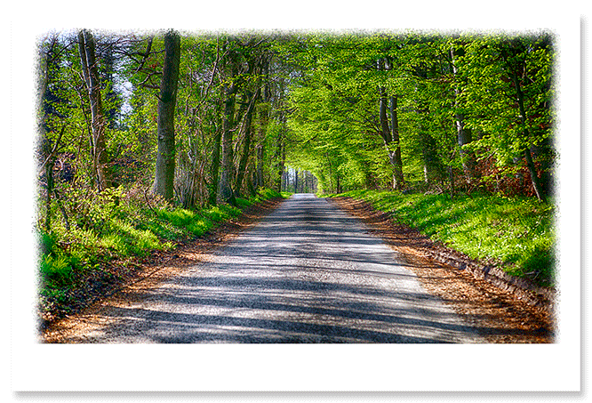 green-days-ahead.png