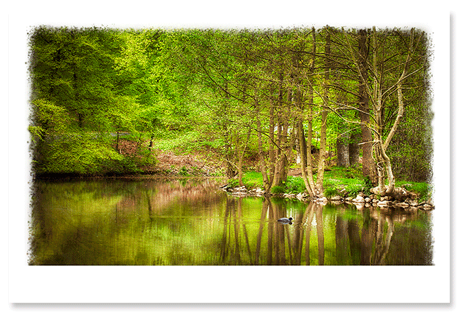 spring-lake.png