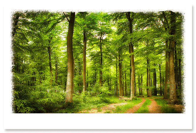 green-escape.png
