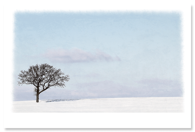 winter-shadow.png