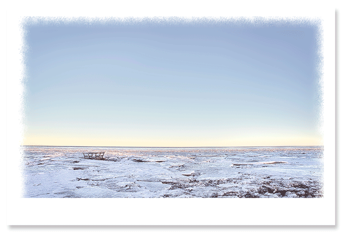 ice-winter.png