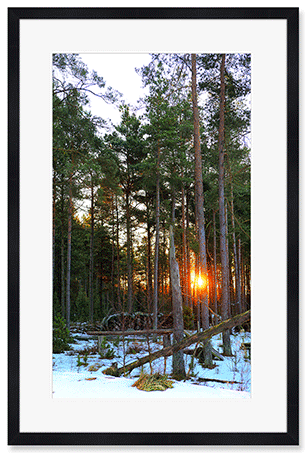 morning-winter-sun.png