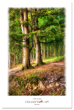 under-the-trees.png