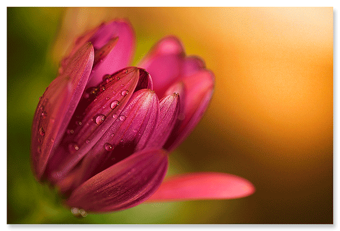 efter-regn.png