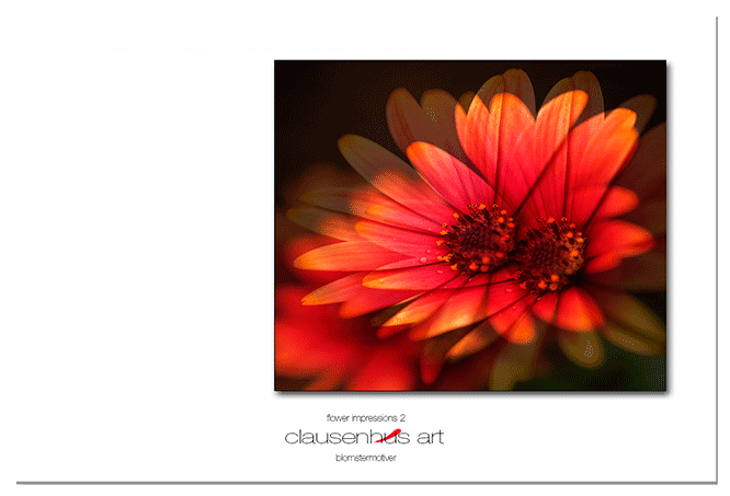 flower-impressions-2.png