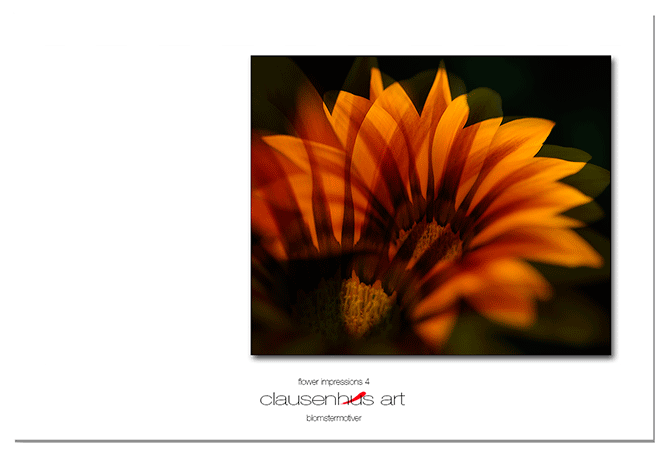 flower-impressions-4.png
