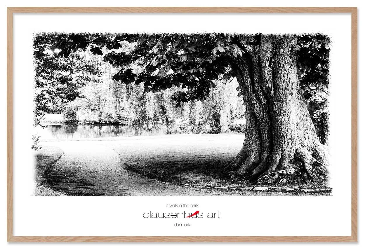 a-walk-in-the-park-copy.jpg