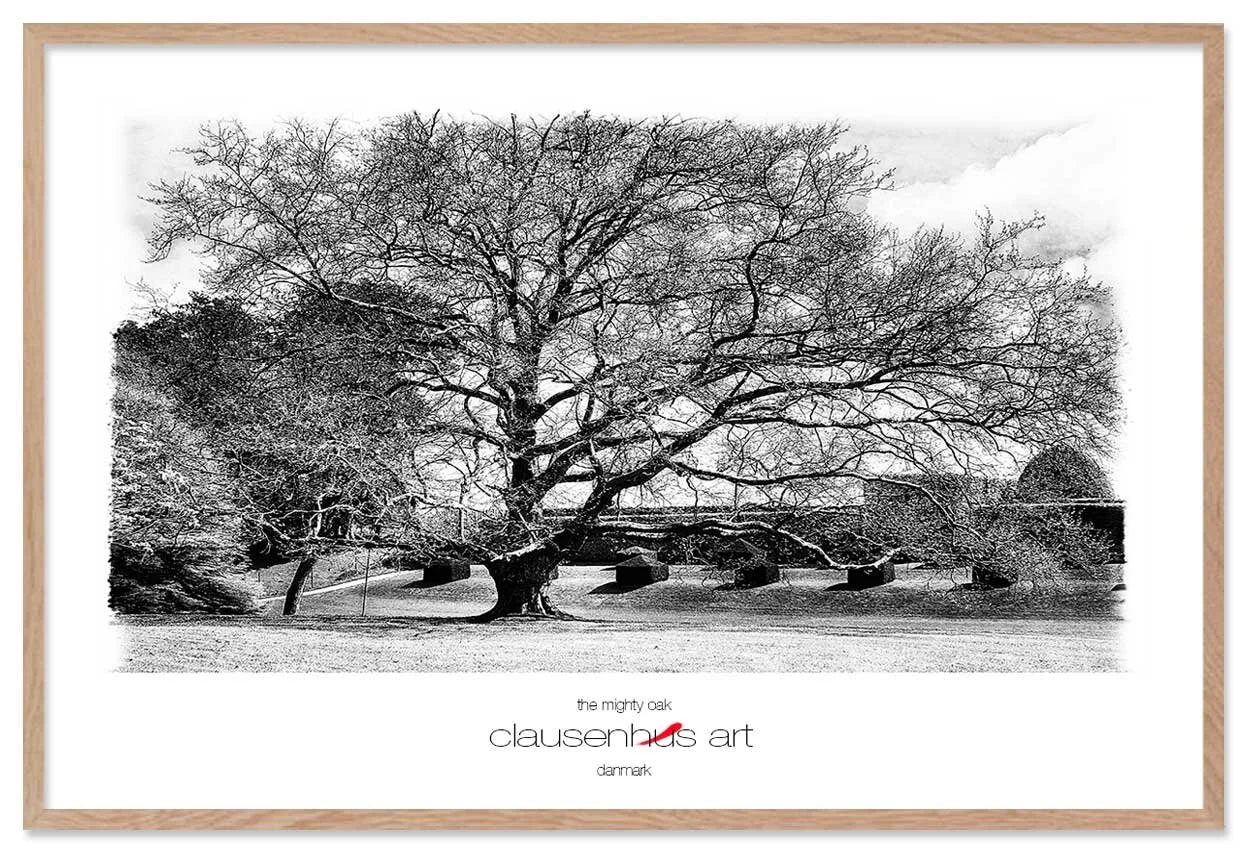 the-mighty-oak-copy.jpg
