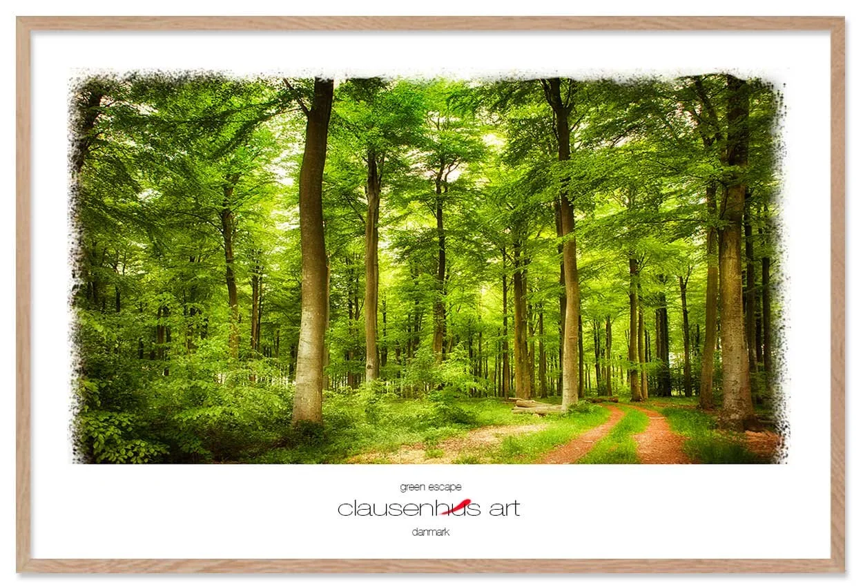 green-escape-copy.jpg