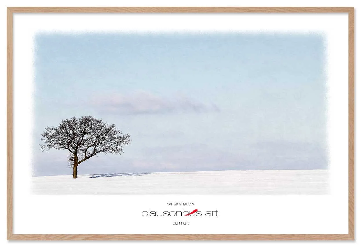 winter-shadow-copy.jpg