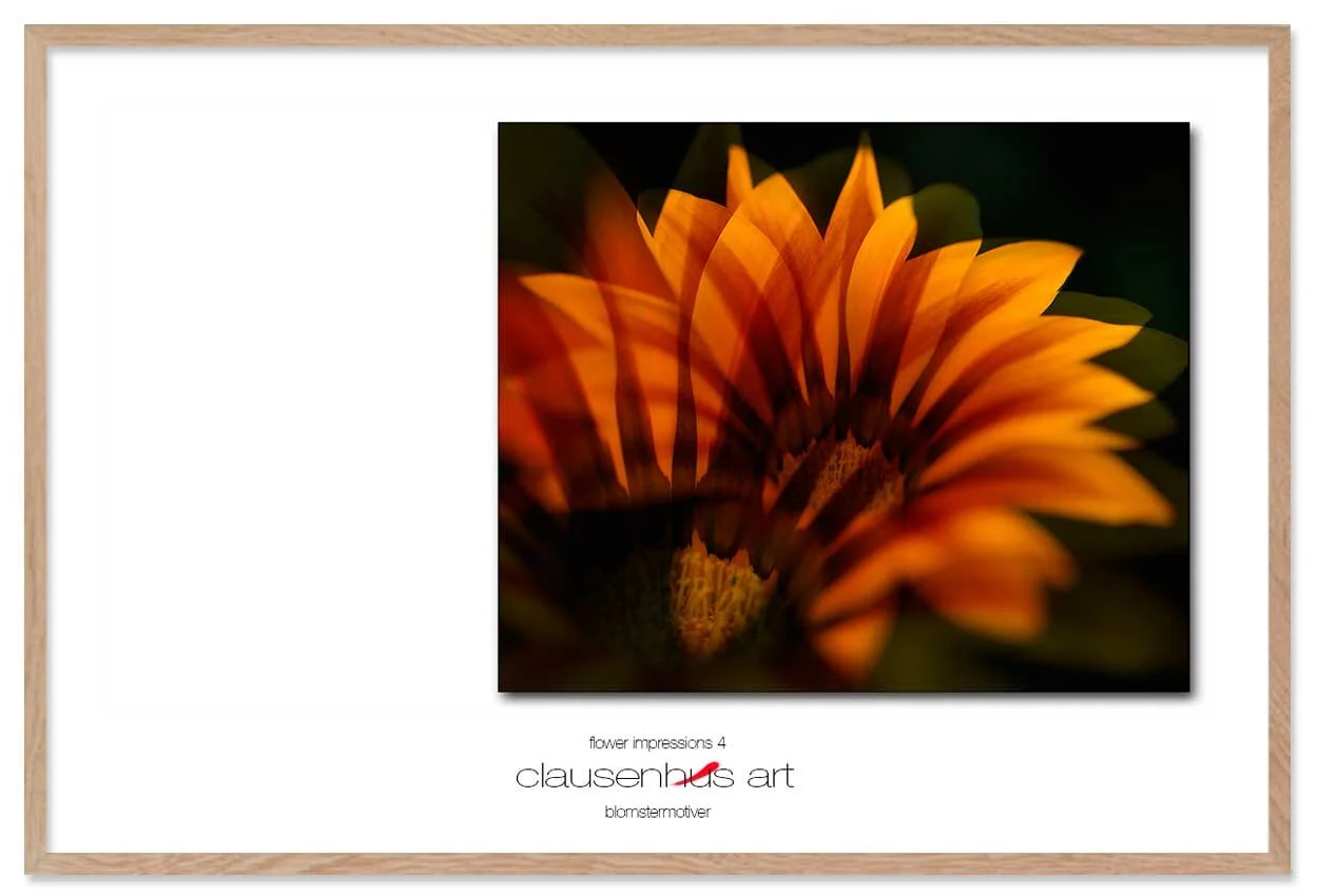 flower-impressions-4-copy.jpg